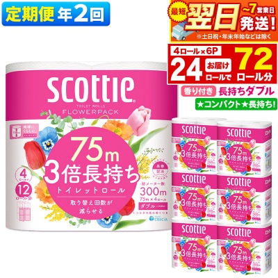 《2回定期便》トイレットペーパー 3倍長持ち 24個 ダブル|15_nsc-100602da