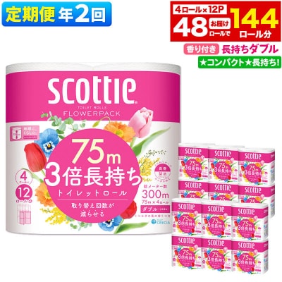 《2回定期便》トイレットペーパー 3倍長持ち 48個 ダブル|15_nsc-101202da