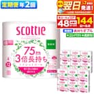 《2回定期便》トイレットペーパー 3倍長持ち 48個 ダブル|15_nsc-101202db