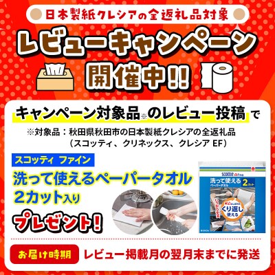 《4回定期便》トイレットペーパー 長持ち 8個 & ティッシュ10箱|15_nsc-120104s