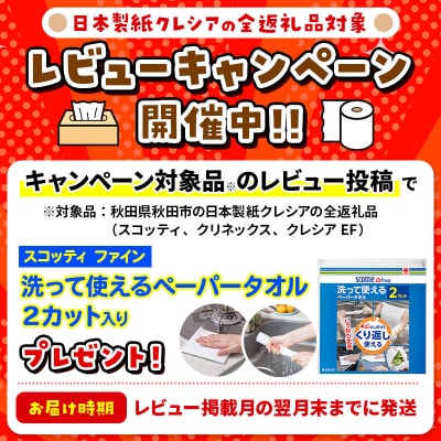 《2回定期便》トイレットペーパー 長持ち 16個 & ティッシュ10箱|15_nsc-120202d