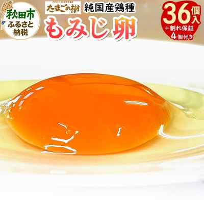 たまごの樹 純国産鶏種 もみじ卵 36個+割れ保証4個付 10個入×4P|15_tyt-020401