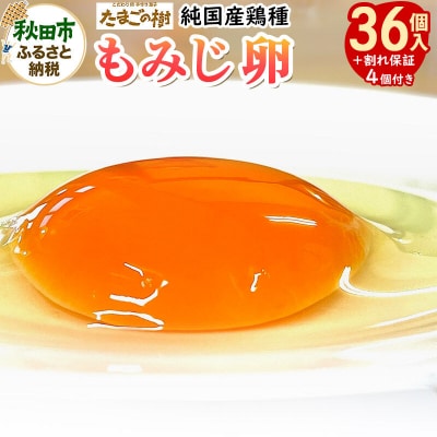 たまごの樹 純国産鶏種 もみじ卵 36個+割れ保証4個付 10個入×4P|15_tyt-020401