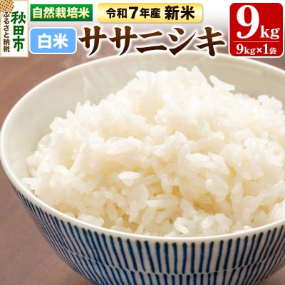 新米 受付 令和7年産 自然栽培米 ササニシキ 精米 9kg|15_myn-3x0901h