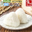 新米 受付 令和7年産 自然栽培米 亀ノ尾 精米 9kg|15_myn-4x0901h