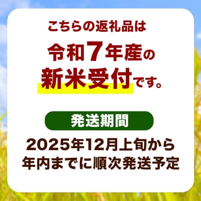 新米 受付 令和7年産 自然栽培米 亀ノ尾 玄米10kg|15_myn-4x1001g