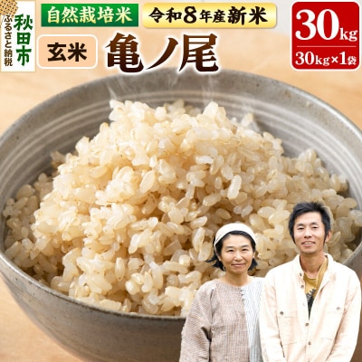 新米 受付 令和8年産 自然栽培米 亀ノ尾 玄米 30kg|15_myn-4x3001g