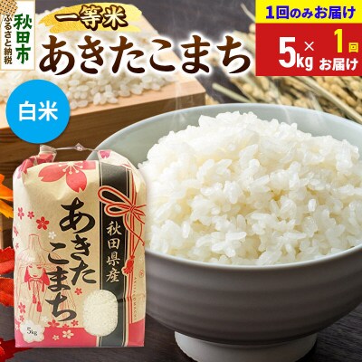 あきたこまち 一等米5kg【1回のみお届け】 白米|15_kml-010501hs
