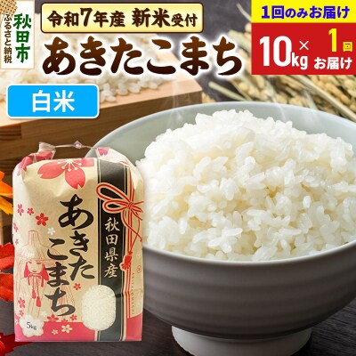 先行受付 あきたこまち10kg【1回のみお届け】 白米|15_kml-011001hs