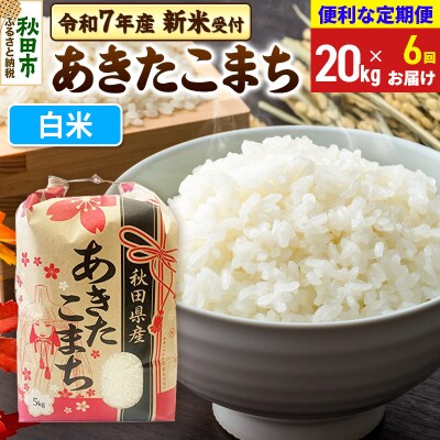 先行受付《定期便6ヶ月》あきたこまち20kg 白米|15_kml-012006hs