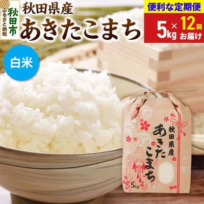 《定期便12ヶ月》あきたこまち5kg 白米|15_kml-210512hs