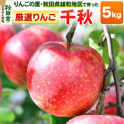 りんごの里・秋田県雄和地区で育った厳選りんご 千秋 5kg|15_gyw-010501