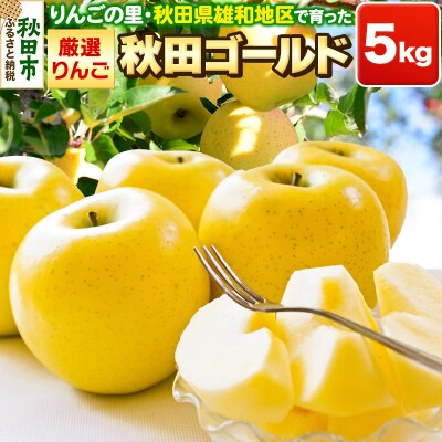 りんごの里・秋田県雄和地区で育った厳選りんご 秋田ゴールド 5kg|15_gyw-020501
