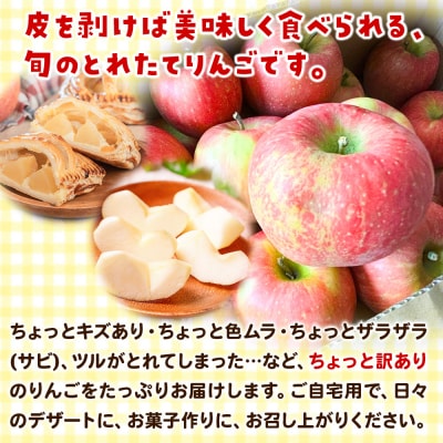 【訳あり】サンふじ 10kg りんご リンゴ 林檎【天抜き箱で発送】|15_azs-021001