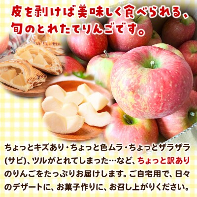 【訳あり】サンふじ 10kg りんご リンゴ 林檎【天抜き箱で発送】|15_azs-021001