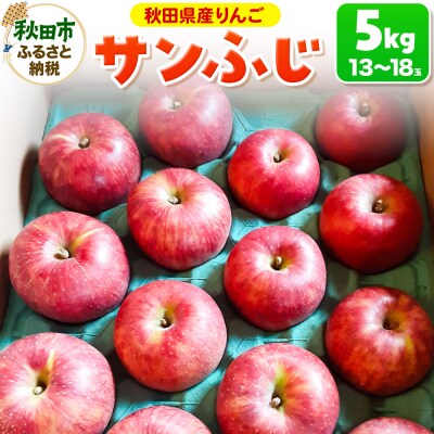 サンふじ 5kg りんご リンゴ 林檎|15_azs-010501