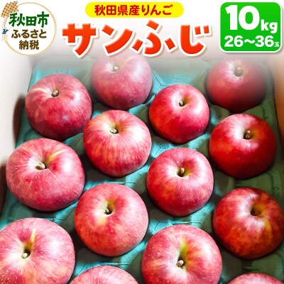 サンふじ 10kg りんご リンゴ 林檎|15_azs-011001