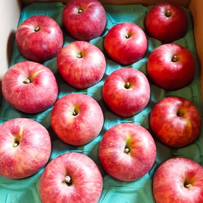 サンふじ 10kg りんご リンゴ 林檎|15_azs-011001