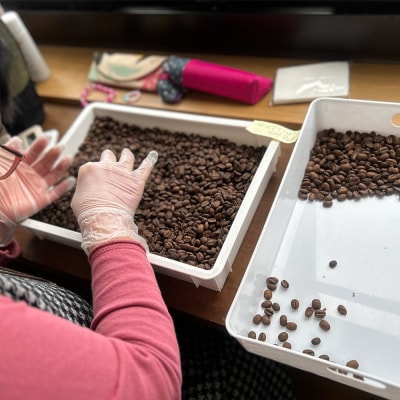 自家焙煎 コーヒー【ドリップパック】5種計20個 ドリップバッグ|15_rmx-022001