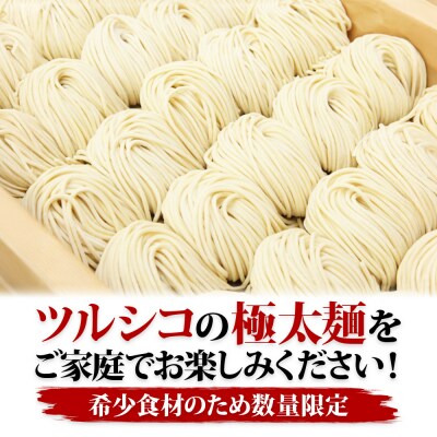 竹本商店 つけ麺の麺 つるつるしこしこ「匠の自家製麺」 200g×6玉|15_wtk-050601