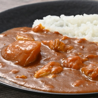 多勝の豚カレー 4個セット|15_ten-080401