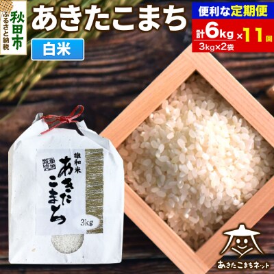 《定期便11ヶ月》秋田市雄和産あきたこまち 清流米 6kg|15_akn-cc0611h