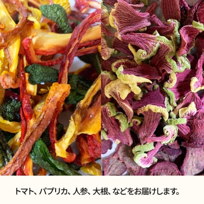 中田商店謹製 ドライベジタブル 季節のおまかせ5種セット|15_nas-030101