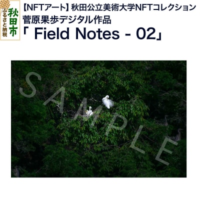 【NFTアート】菅原果歩デジタル作品「Field Notes - 02」|15_aca-040101
