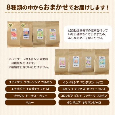 自家焙煎珈琲 豆　100g×おまかせ6種セット|15_sfk-020601