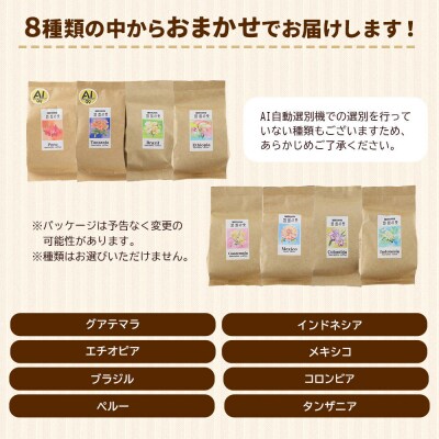 自家焙煎珈琲 豆　100g×おまかせ6種セット|15_sfk-020601