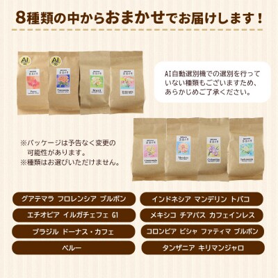 自家焙煎珈琲 粉　100g×おまかせ3種セット|15_sfk-030301