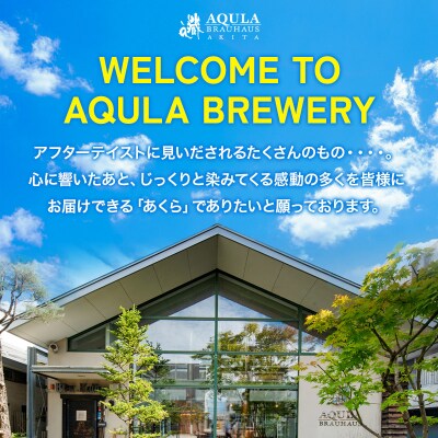 【定期便11ヶ月】秋田あくらビール 秋田美人のビール 6本セット|15_nhn-050111