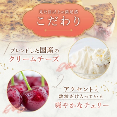 御献上チーズケーキ(約360g×1台) 御献上カスティーラ|15_gkt-020101