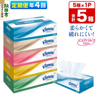《4回定期便》ティッシュペーパー クリネックス 5箱×1パック|15_nsc-030104