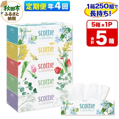 《4回定期便》ティッシュ スコッティフラワーボックス 250組 5箱×1|15_nsc-070104