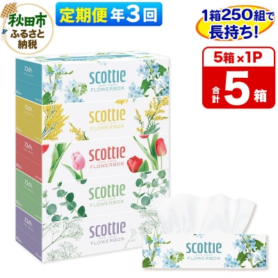 《3回定期便》ティッシュ スコッティフラワーボックス 250組 5箱×1|15_nsc-070103