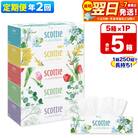 《2回定期便》ティッシュ スコッティフラワーボックス 250組 5箱×1|15_nsc-070102