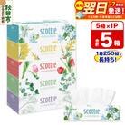 ティッシュペーパー スコッティ フラワーボックス 250組 5箱×1|15_nsc-070101