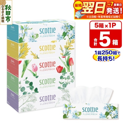 ティッシュペーパー スコッティ フラワーボックス 250組 5箱×1|15_nsc-070101
