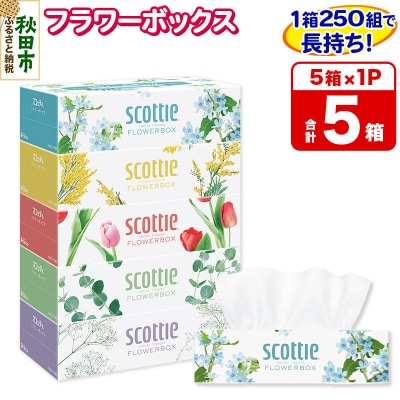 ティッシュペーパー スコッティ フラワーボックス 250組 5箱×1|15_nsc-070101