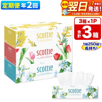 s2ցteBbV XRbeBt[{bNX 250g 3×1|15_nsc-060102