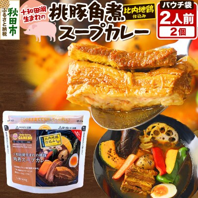桃豚角煮スープカレーレンジパウチ 1人前(300g)×2個|15_scg-100201