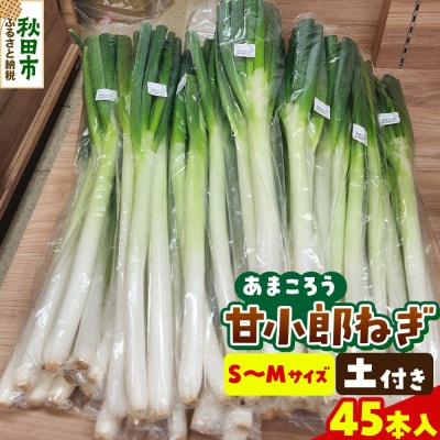 甘小郎ねぎ 約5kg 土ねぎ(1箱45本入り)|15_atn-020101b
