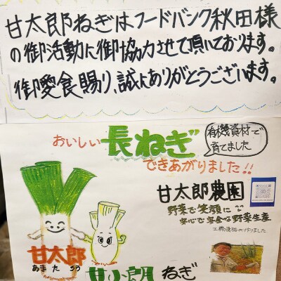 甘小郎ねぎ 約5kg 土ねぎ(1箱45本入り)|15_atn-020101b
