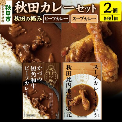 秋田カレーセット 短角和牛ビーフカレー スープカレー 秋田比内地鶏手羽元|15_aap-020101