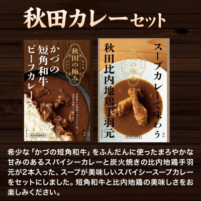 秋田カレーセット 短角和牛ビーフカレー スープカレー 秋田比内地鶏手羽元|15_aap-020101