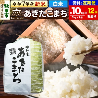 新米受付《定期便12ヶ月》あきたこまち 清流米 10kg【白米】 |15_akn-dd1012hs