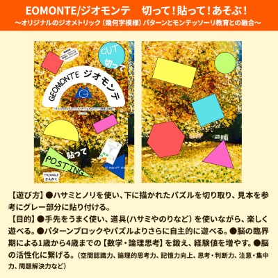 GEOMONTE ジオモンテ 幼児小学生教材 1冊25ページ|15_aiy-010101