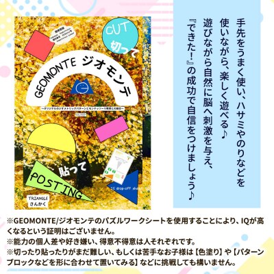 GEOMONTE ジオモンテ 幼児小学生教材 1冊25ページ|15_aiy-010101