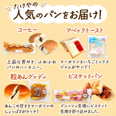 定期便3ヶ月 たけや製パン 秋田ふるさと満喫セット 10種(計10個)|15_tsp-010103